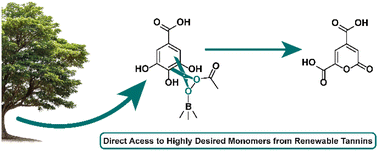 Graphical abstract: Direct synthesis of 2-pyrone-4,6-dicarboxylic acid and trans-aconitic acid from renewable gallic acid and tannic acid