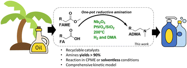 Graphical abstract: The sustainable and catalytic synthesis of N,N-alkylated fatty amines from fatty acids and esters