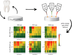 Graphical abstract: Investigating the effects of laser wavelengths and other ablation parameters on the detection of biogenic elements and contaminants in hydroxyapatite