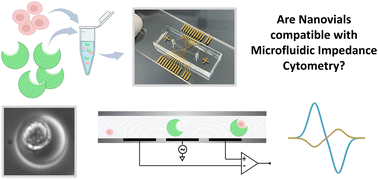 Graphical abstract: On the compatibility of single-cell microcarriers (nanovials) with microfluidic impedance cytometry