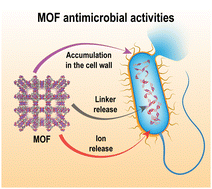 Graphical abstract: Antimicrobial zeolites and metal–organic frameworks