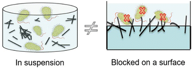 Graphical abstract: Surface-anchored carbon nanomaterials for antimicrobial surfaces