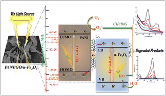 Graphical abstract: Synergistic design of a graphene oxide-mediated polyaniline/α-Fe2O3 ternary heterostructure: advancing photocatalytic degradation and adsorption efficiency