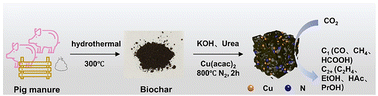 Graphical abstract: Constructing fecal-derived electrocatalysts for CO2 upcycling: simultaneously tackling waste and carbon emissions