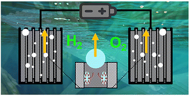 Graphical abstract: Rice leaves microstructure-inspired high-efficiency electrodes for green hydrogen production