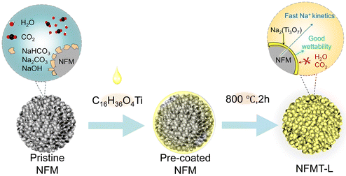 Graphical abstract: Dual-enhancements of stability and wettability in O3-Na0.95Ni1/3Fe1/3Mn1/3O2 cathodes by converting surface residual alkali into ultrathin Na2Ti3O7 coatings