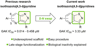 Graphical abstract: Synthesis and evaluation of isothiazolo[4,5-b]pyridines as cyclin G-associated kinase (GAK) inhibitors