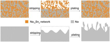 Graphical abstract: In situ formed self-embedded ion/electron conductive skeletons enabling highly stable sodium metal anodes