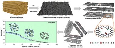 Graphical abstract: A fluorine/oxygen co-doping scheme for biomass carbon provides excellent rapid reaction kinetics for sodium/potassium-ion batteries