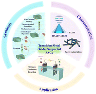 Graphical abstract: Single atom-decorated transition metal oxide nanomaterials for efficient oxygen evolution reaction