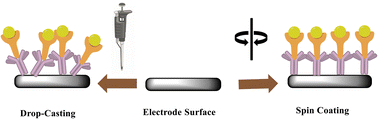 Graphical abstract: Molecularly imprinted polymer-based electrochemical sensors for monitoring the persistent organic pollutants chlorophenols