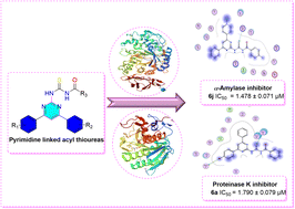 Graphical abstract: Novel pyrimidine linked acyl thiourea derivatives as potent α-amylase and proteinase K inhibitors: design, synthesis, molecular docking and ADME studies