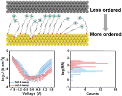 Graphical abstract: Dynamically blocking leakage current in molecular tunneling junctions