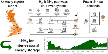 Graphical abstract: The value of ammonia towards integrated power and heat system decarbonisation