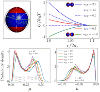 Graphical abstract: Features of heterogeneously charged systems at their liquid–liquid critical point