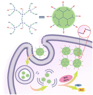 Graphical abstract: Thiol-containing hyperbranched polysiloxane for scavenging reactive oxygen species