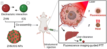 Graphical abstract: Assembly-enhanced indocyanine green nanoparticles for fluorescence imaging-guided photothermal therapy