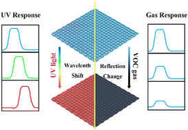 Graphical abstract: Dual-stimuli responsive chromatic cholesteric fibres with programmable structural-colour