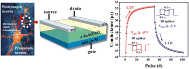 Graphical abstract: Artificial neurosynaptic device based on amorphous oxides for artificial neural network constructing