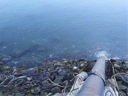 Graphical abstract: Wet wipes in untreated wastewater are a source of litter pollution to the arctic marine environment – a case study on the loads of litter and microplastics in wastewater effluents in Greenland