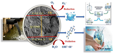 Graphical abstract: In situ synthesis of VO2@C nanocomposites for enhanced visible-light photocatalysis in wastewater remediation and sustainable hydrogen generation