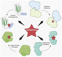 Graphical abstract: Protein structural dynamics in covalent drug design: insights from irreversible and reversible covalent inhibitors
