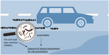Graphical abstract: Risk assessment of tire wear in the environment – a literature review