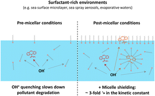 Graphical abstract: Hydroxyl radical-initiated degradation kinetics of organic pollutants in surfactant-rich environments