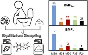 Graphical abstract: Do human individuals differ in their potential for lipophilic contaminant biomagnification?