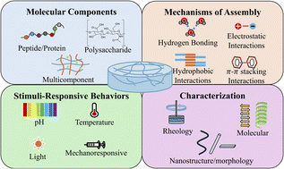 Graphical abstract: Spiers Memorial Lecture: Recent advances (and challenges) in supramolecular gels