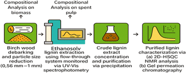 Graphical abstract: Predictive modelling and optimization of lignin extraction efficiency and quality in birch-wood mild ethanosolv fractionation in a semi-continuous flow-through reactor