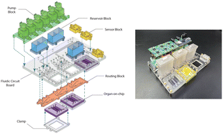 Graphical abstract: STARTER: a stand-alone reconfigurable and translational organ-on-chip platform based on modularity and open design principles