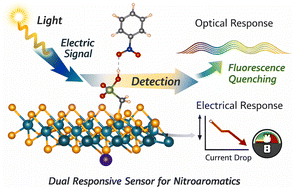 Graphical abstract: Covalent functionalization of MoSe2 nanosheets with hydrogen bond-donating functionalities for the sensing of nitroaromatics
