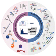 Graphical abstract: Advances of nanopore sensors toward virus detection and diagnostic applications