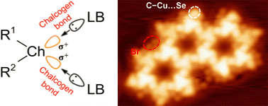 Graphical abstract: Surface nanostructures regulated by chalcogen bonding interactions