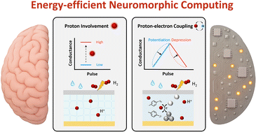 Graphical abstract: Recent progress in proton involvement and coupling for bio-realistic synaptic devices