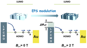 Graphical abstract: Non-invasive modulation of carrier injection efficiency via electronic phase separation at organic/inorganic interfaces