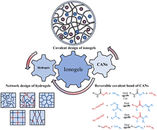 Graphical abstract: Covalent design of ionogels: bridging with hydrogels and covalent adaptable networks