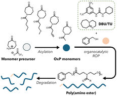 Graphical abstract: 1,4-Oxazepan-7-one trifluoroacetate: a modular monomer precursor for the synthesis of functional and biodegradable poly(amino esters)