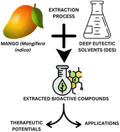 Graphical abstract: A review on the role of deep eutectic solvents in mango (Mangifera indica) extraction