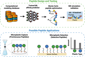 Graphical abstract: AI-driven rational design of promiscuous and selective plastic-binding peptides