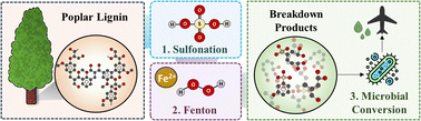 Graphical abstract: Deconstructing poplar lignin from ionic liquid pretreatment for biological conversion through sulfonation and Fenton chemistry