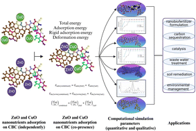 Graphical abstract: Molecular modelling of a biochar–ZnO–CuO nano-biofertilizer: adsorption simulation for optimized nutrient delivery