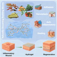Graphical abstract: Multifunctional bioadhesive hydrogels derived from naturally occurring building blocks for wound healing