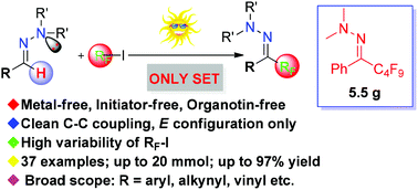 Graphical abstract: A general photoinduced electron transfer-directed chemoselective perfluoroalkylation of N,N-dialkylhydrazones
