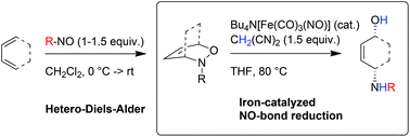 Graphical abstract: Fe-Catalyzed reductive NO-bond cleavage – a route to the diastereoselective 1,4-aminohydroxylation of 1,3-dienes