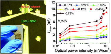 Graphical abstract: Tunable WSe2–CdS mixed-dimensional van der Waals heterojunction with a piezo-phototronic effect for an enhanced flexible photodetector