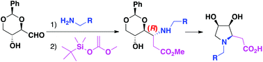 Graphical abstract: (3S,4R)-3,4-Dihydroxy-N-alkyl-l-homoprolines: synthesis and computational mechanistic studies