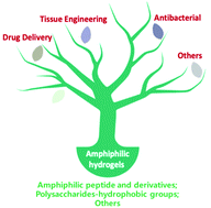 Graphical abstract: Amphiphilic hydrogels for biomedical applications