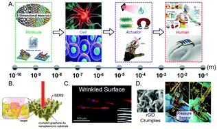 Graphical abstract: Mechanochemical engineering of 2D materials for multiscale biointerfaces